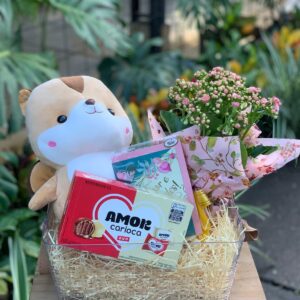 KIT PELÚCIA ESQUILO DOS DIAS DAS MÃES
