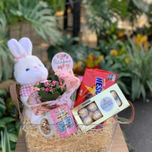 KIT PELÚCIA COELHO DOS DIAS DAS MÃES
